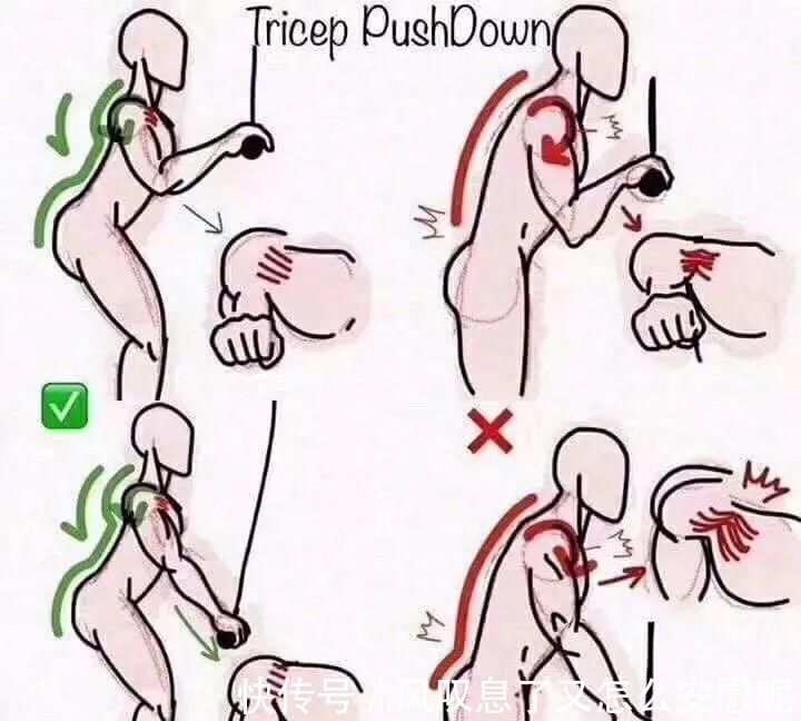 动作|健身健身房最容易做错的8个动作,动作正确效果翻倍