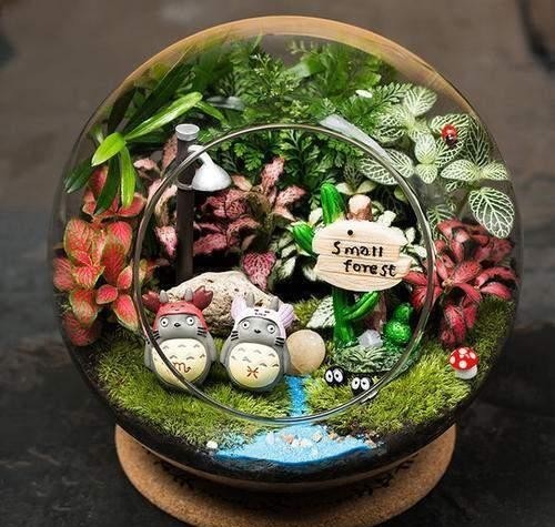 瓶景植株|过年大火的瓶景自己做,一瓶就是一个景观,小小一个真有趣