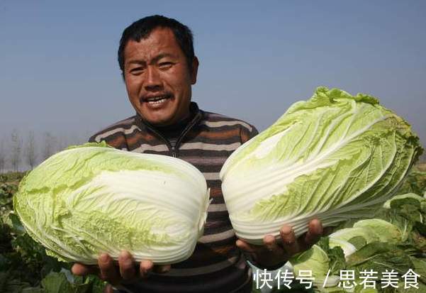 冬天|冬天白菜不好保存教你一招，不烂叶不脱水，每天都能吃到新鲜的