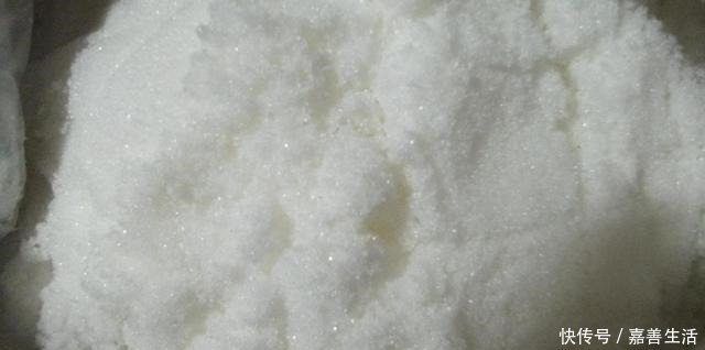 文竹里面加一种东西,养得又绿又健康!先收藏以后用得上!