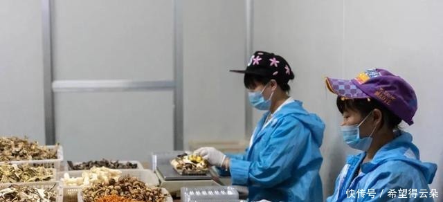  冬日，细火慢炖好时光