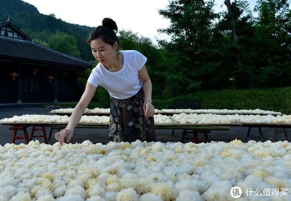 秋天|2021立秋时间表，立秋以后多吃“立秋五宝”，应季而食顺利入秋