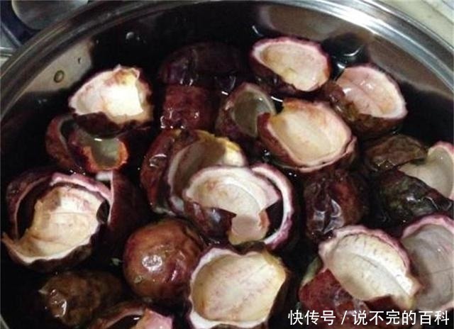 兰花|兰花长不好,把这2水果壳塞盆里,根系又多又白,苗势很旺!