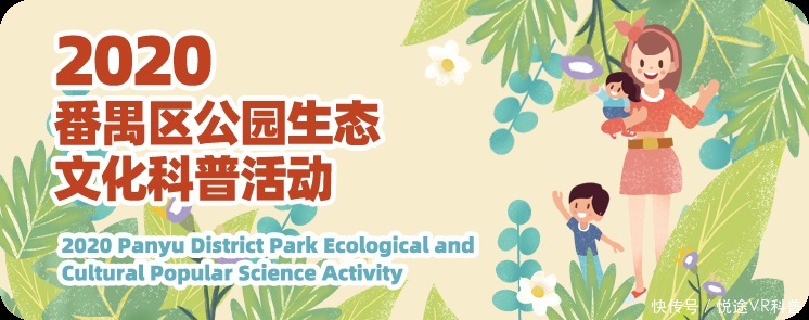 研究化石,趣味定向,植物压花!番禺公园科普活动继续神奇旅程!