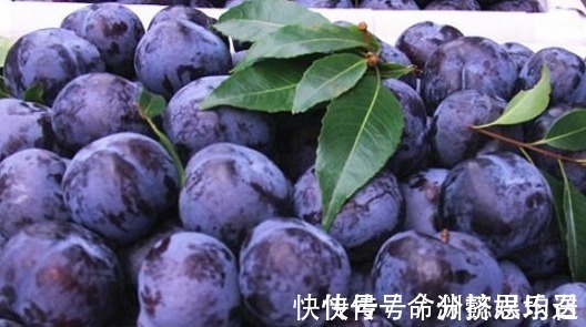 苦杏仁苷|聪明的人都知道,常吃此水果,美白皮肤,淡化色斑,早知早受益