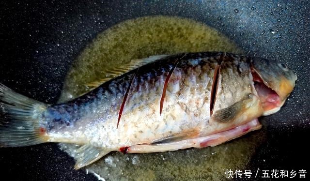 公认的淡水美味,如今8元一斤,买的人却很少,大家为何不愿吃