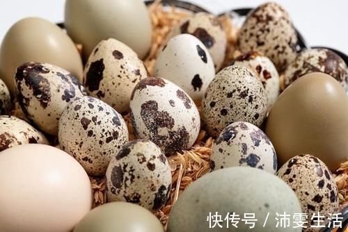 孕妇|怀孕后，孕妇别吃皮蛋易影响胎儿健康，另外四种蛋多吃对胎儿好