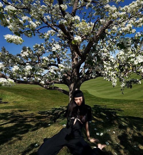 倪妮梨花树下秀气质 胸前镂空设计尽显纤瘦身材 表现力十分强大 快资讯
