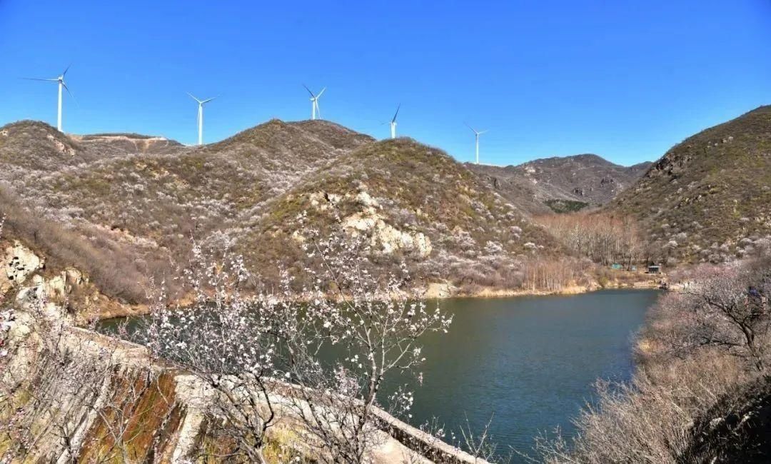 昌平花事：长峪城山花烂漫青山翠