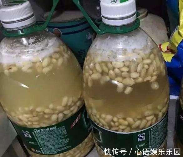 花肥其实自己就能做,省钱又好用,养花效果棒