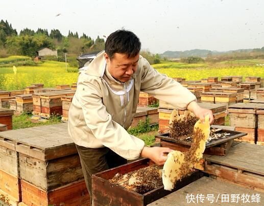 果糖|蜂蜜的热量高不高？蜂蜜是减肥还是发胖的？