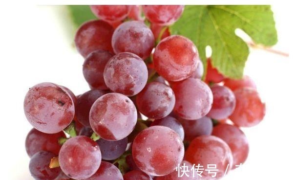 补充营养|女性不想变老,不妨多吃此食物,补充营养、滋补身体,好处多多