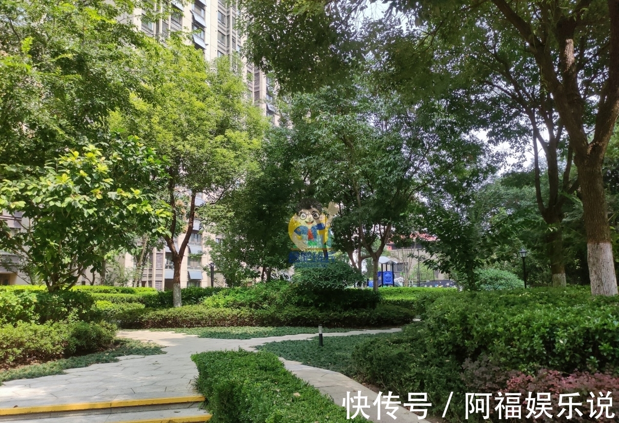 万科|这里是合肥北部出名的富人小区,实探万科森林公园品质究竟如何?