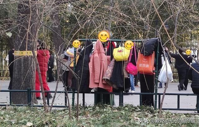  中老年人|中老年人跳慢四步舞，有多少爱可以重来？