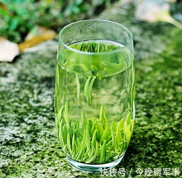 全讯白菜大全陈桢怡新剧引发热议：演出“顶级绿茶”背后情感丑闻震惊众人