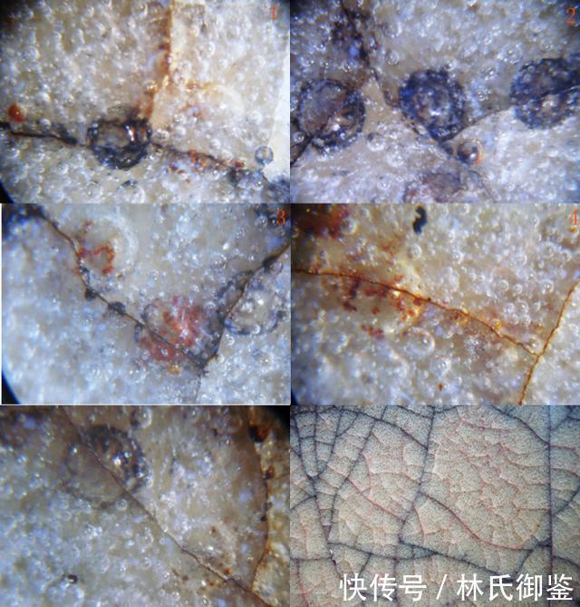 宋代五大名窑,你还是官窑、哥窑不分?