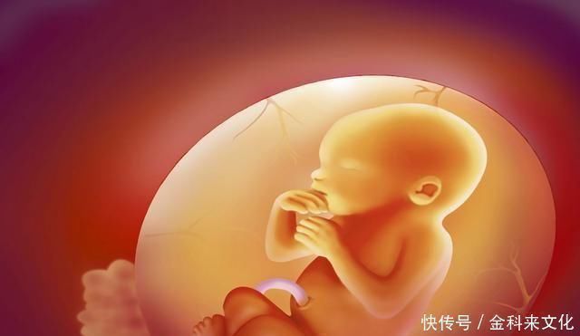 母子|怀孕后,“母子连心”的3种表现,全占的孕妈很幸运,胎儿很爱你