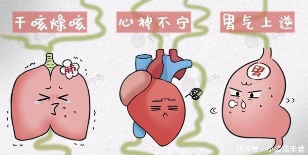 桑叶|一味桑叶补骨髓,止盗汗,清肝明目润肺止咳就看你会不会用