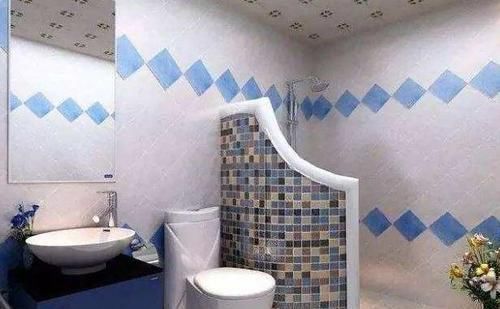 隔断|头次见到卫生间这样做隔断的，太聪明了，以后我家也这样装