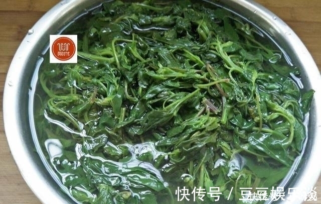 美味|田间地头很常见的野菜,城里餐桌上难得一见美味,小伙伴们记得吗