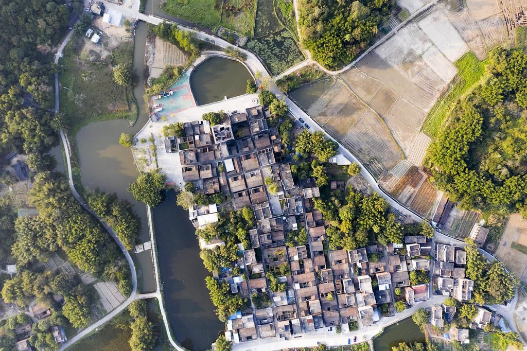  隐藏|1959年，人民大会堂挂上了一幅画，背后隐藏了2个有趣的故事