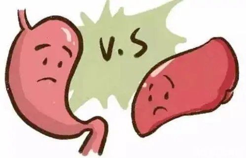 石斛|三伏天前每周給娃喝一次！這種茶既養陽氣又強體質