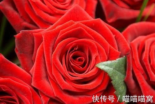 木克土|恭喜,四生肖惹不起,八十一难已过,添丁又添财,扬眉吐气变富豪