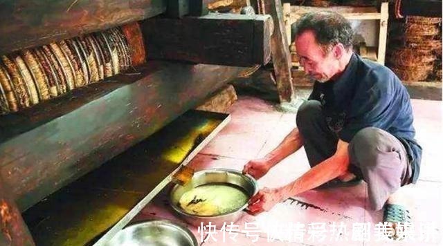 亚麻籽油|这3种油常见且很香,但尽量别给孩子吃,小心影响身体发育