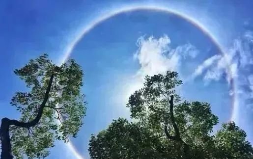 生病|2020三伏时间表最易生病的40天快来了,不论男女都要这样做