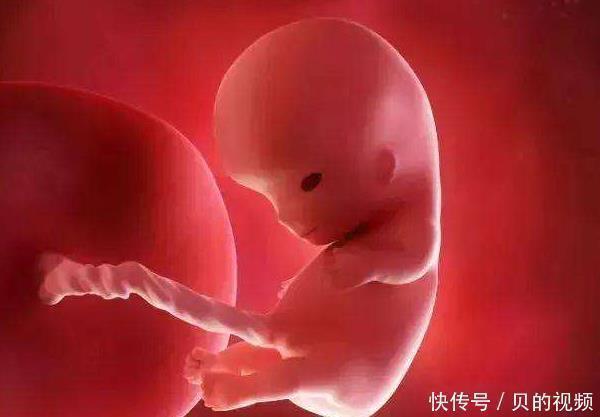 怀孕期间|怀孕后，身上这些症状“偷偷”消失了其实胎儿一直都在保护妈妈