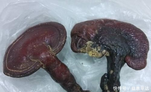 长期失眠,多半是肝火过旺,常吃2红1黄,降肝火睡得香