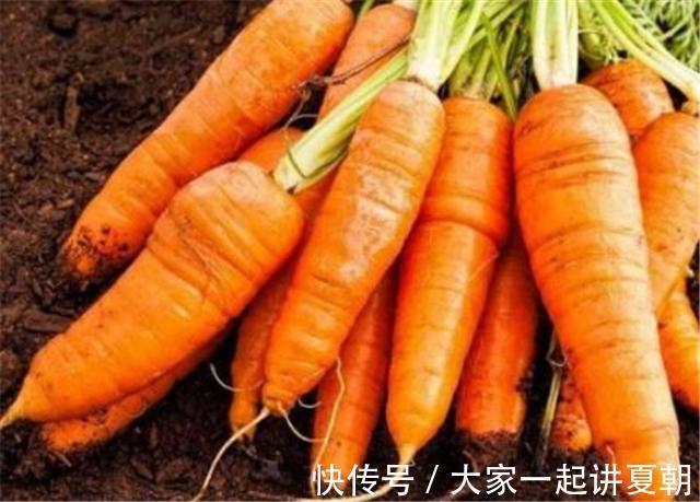 禁忌|提个醒炒胡萝卜切记2大禁忌,吃了等于没事找事,别再犯错