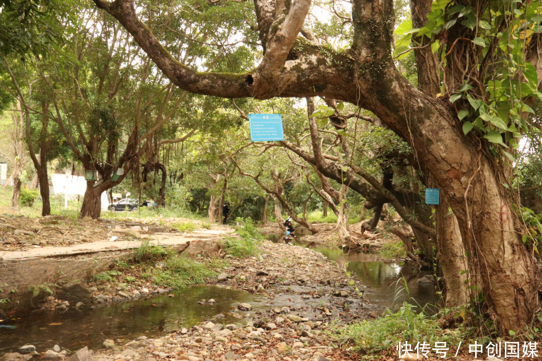 金龟慢:往事经年,历史有声。|这儿有个金龟小镇 | 往事