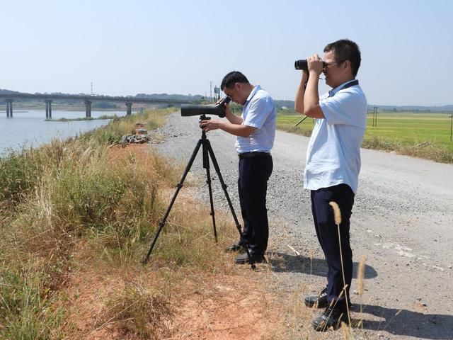 国庆我在岗：他们坚守鄱阳湖护候鸟平安|读图 | 老陶