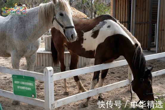 到底发生了什么，让范丞丞直呼 “温州铁定溜溜太可怕了”?!