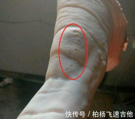 才知道,猪蹄也有“前后”之分,老屠夫告诉你6大区别,别买错了!