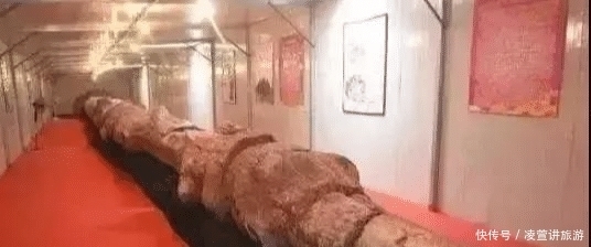 树化玉|亿万年前的宝贝,形似冰种翡翠,估值数百亿