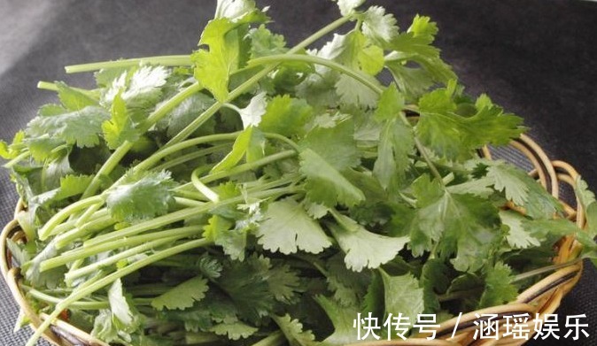 烟酸|香菜有什么营养价值它的五大营养价值要比一般蔬菜强,了解一下