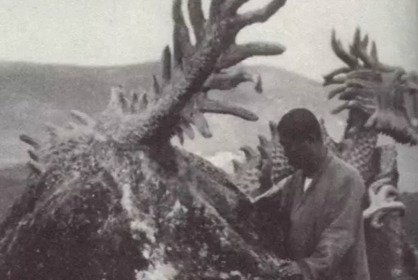 中龙$揭秘2000年山东坠龙事件,村民目击黑白双龙,专家的解释无人敢信