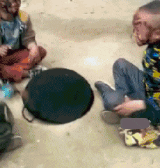 |搞笑GIF：假装什么都没有发生，我只是一个普通的路人甲……