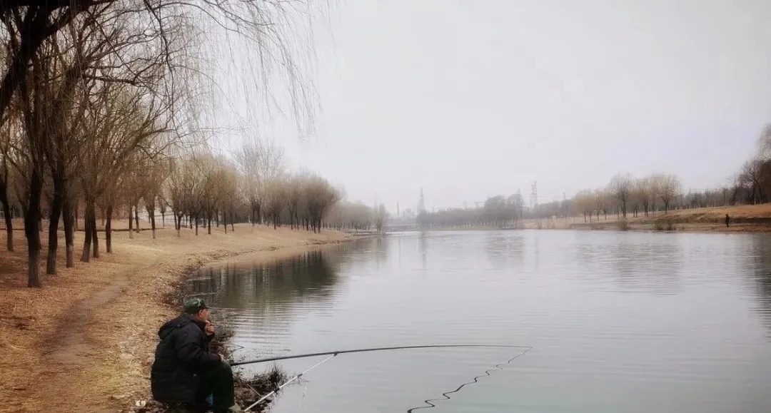 冬至后野钓鲫鱼,老渔民吐露真相,你能否找到鱼决定了能否钓到鱼