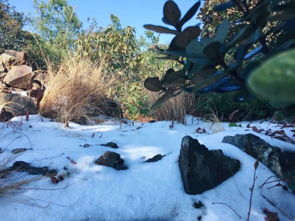 情结|云海与雪景、雾凇齐聚,惊艳了鸡足山的冬天!