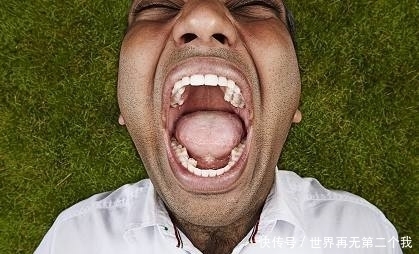4大奇葩吉尼斯纪录,让人惊叹!