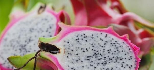 火龙果|高血压万不能多碰的水果,贪吃一口就容易血压飙升,早知早避免