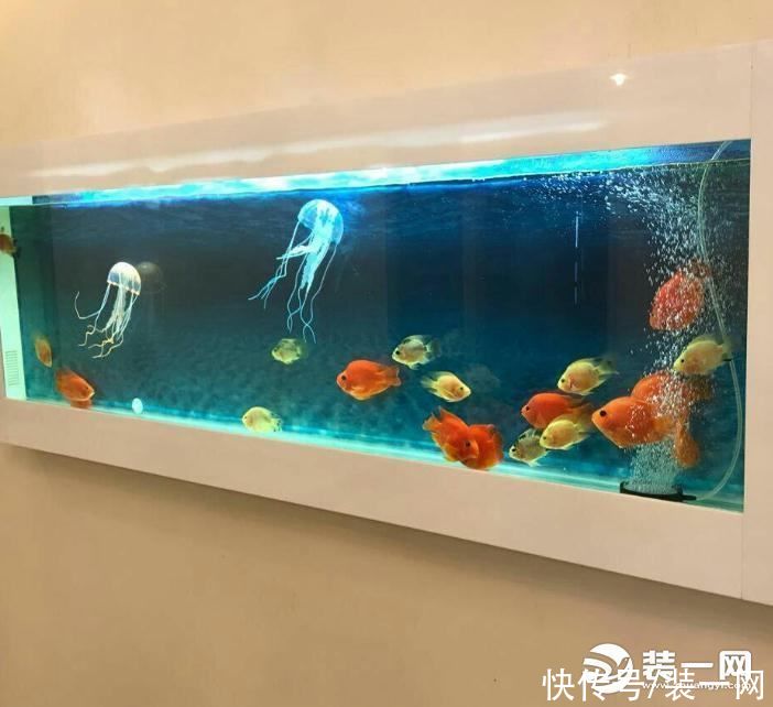 流程|生态鱼缸造景教程怎么做？装一网介绍生态鱼缸的制作流程