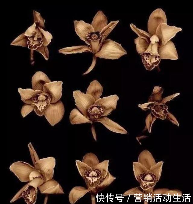 帝乙!历史上真实的商纣王,文武双全、开疆拓土、一代雄主!