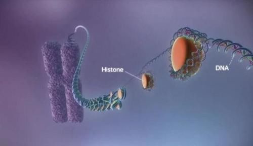 营养神经|甲钴胺片是营养神经的“扛把子”，吃多久能停药？医生正面回答了