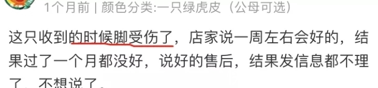 up主|隐秘的电商生意：我花35块网购，收到一具尸体