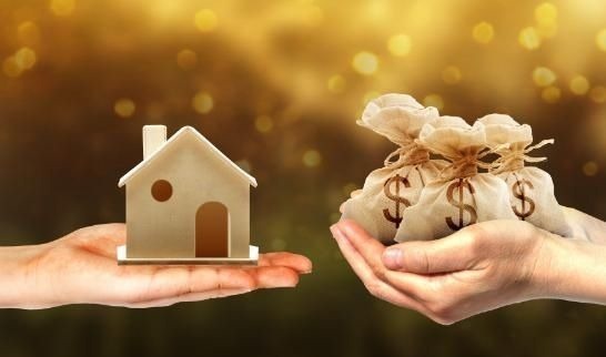 董明珠|先暂停买房任正非、董明珠发出“劝言”，就连首富也出面相告