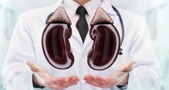 腰板|肾好的人,晨起后通常有3个表现,若能全占,说明肾脏还算健壮!